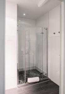 圣艾米隆Demeure des Girondins的浴室设有玻璃淋浴间,地板上配有毛巾