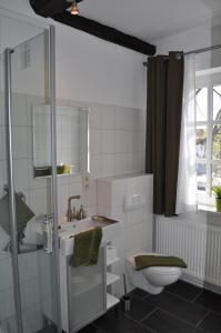 策勒Apartment Brauner Hirsch的浴室配有卫生间、盥洗盆和淋浴。
