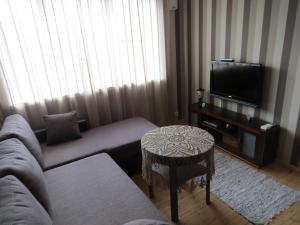 派尔努家庭度假公寓的带沙发、电视和桌子的客厅