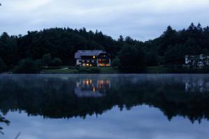 滨湖席弗灵特拉特尼格乡村酒店的湖岸边的房屋