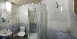 维尔纽斯nakvinės namai Mano kelias的带淋浴、卫生间和盥洗盆的浴室