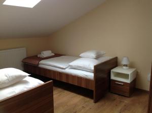 赫维兹Jókai Apartmanház的一间卧室设有两张单人床和一个天窗