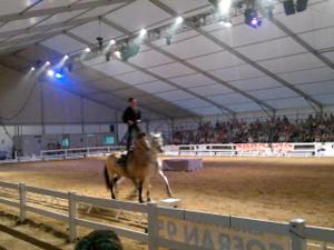 坎布里尔斯Can Mestre的站在竞技场上马的人