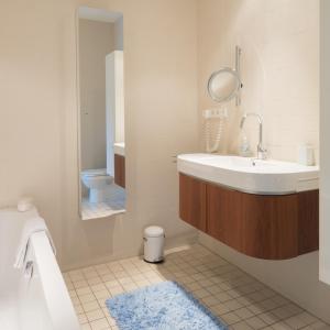 阿姆斯特丹雅堡别墅旅馆的一间带水槽、卫生间和镜子的浴室
