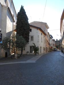 拉齐塞Ca' Ottocento的一条有树的鹅卵石街道
