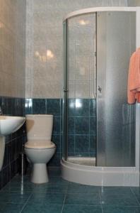 弗沃茨瓦韦克Hotel Kujawy的带淋浴、卫生间和盥洗盆的浴室