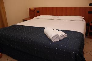 代西奥阿尔伯格加尔迪诺酒店的床上有两条毛巾