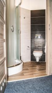 弗热希尼亚Hostel Azymut的一间带卫生间和玻璃淋浴间的浴室