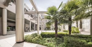 马德里伊鲁尼阿尔卡拉北部酒店的一座种植了棕榈树的庭院