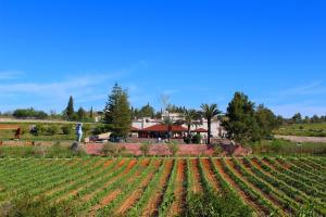 埃斯坦巴金塔多斯瓦莱斯葡萄酒庄园旅馆的农作物田地,以农场为背景