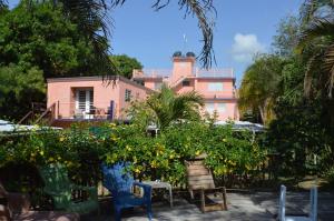 别克斯Esperanza Inn Guesthouse的一座粉红色的建筑,里面种着许多橘子树和椅子