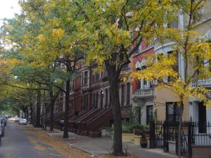 纽约画廊之家公寓的秋天的街道,树木和建筑物