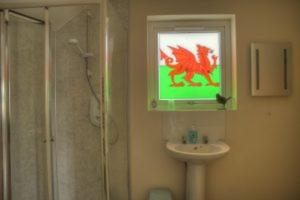 阿伯里斯特威斯Bro Dafydd的一间带电视、水槽和淋浴的浴室
