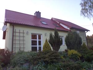 姆拉哥沃Domek pod brzozą的白色房子,有红色屋顶