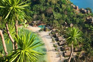 爱妮岛卡瓦延度假村的棕榈树度假村的空中景致