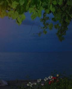 KamariotissaVilla Maria的夜晚水体的景色