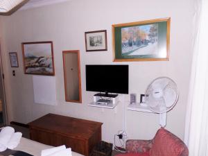 约翰内斯堡Old Umtali Guest House的一间带电视和风扇的客厅