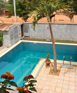 瓦加杜古B & B Le Nomade的旁边是一座棕榈树的蓝色游泳池