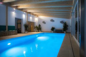 因泽尔Dauscher Hof Natur Pur的蓝色灯光的房子里的一个大型游泳池