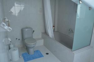 瓦西里科斯Villa Basta的浴室配有卫生间、淋浴和浴缸。