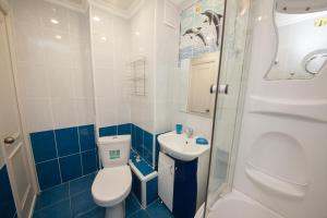 克拉斯诺亚尔斯克Apartment On Dobrovolcheskoy Brigady的一间带卫生间和水槽的小浴室