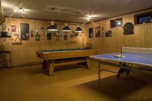 HammerbrückeHotel Berglandstübel的一间房间,里面设有两张乒乓球桌