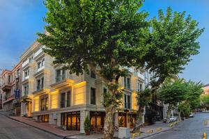 伊斯坦布尔格兰纳基酒店的街道上建筑物前面的树