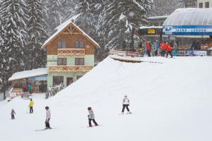 迪马诺卡多林纳Apartments Kvasničník的一群人沿着雪覆盖的斜坡滑雪