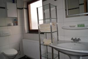 特里尔Hotel Kugel的白色的浴室设有水槽和卫生间。