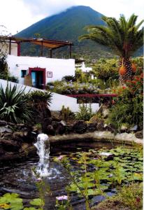 马尔法Il格尔索假期酒店的花园中的池塘,花园内设有喷泉