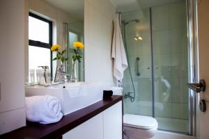 圣地亚哥海德堡豪斯公寓酒店的一间带水槽、卫生间和淋浴的浴室