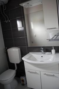 VerunićAnte Carov Apartment的一间带水槽、卫生间和镜子的浴室