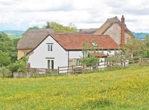 ColytonOld Orchard Cottage的白色的房子,有栅栏和花田