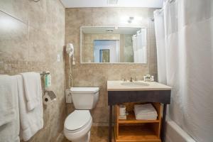 纽约马尔伯里酒店的一间带卫生间、水槽和镜子的浴室