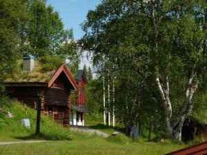 Vålådalen瓦拉达兰斯车站旅馆的小木屋,设有草屋顶和红色房子