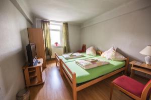 埃施韦勒施万酒店的小房间设有两张床和电视