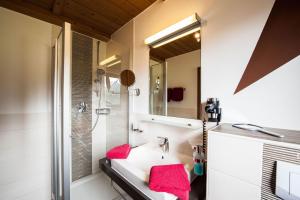 贝旺阿尔彭布里克旅馆的一间带水槽和淋浴的浴室