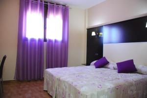 代米耶尔Casa Rural Virgen de las Cruces的一间卧室配有一张大床和紫色窗帘