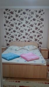 康斯坦察Vila Emy Constanta的一间卧室配有一张带两个枕头的床