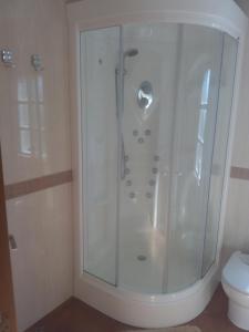 卡尔诺塔Apartamento Peralbar的设有带卫生间的浴室内的淋浴间