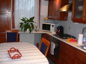 布达佩斯圣迈克尔公寓的厨房配有桌子、炉灶和微波炉。