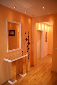 爱尔福特埃加公园埃尔夫迪亚埃尔福特公寓酒店的浴室设有镜子和花瓶的台面