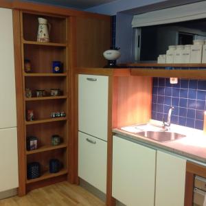 Torres de BarbuésCasa Valfonda的厨房配有水槽和冰箱