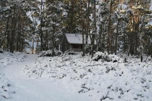 MoinaWombat Cabin的树前的雪覆盖的房子