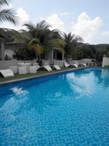 珍南海滩风花别墅酒店的一个带椅子和棕榈树的大型游泳池