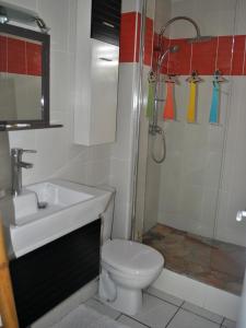 莱特鲁瓦西莱CoCoKreyol - " ARUBA"的浴室配有卫生间、盥洗盆和淋浴。