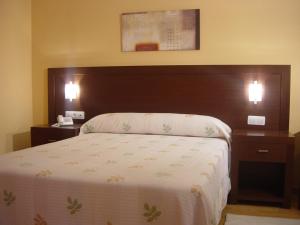 布尔戈斯阿康托酒店的一间卧室配有一张带两个床头柜的床和一张四柱床。