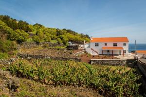 Calheta de NesquimCasa da Vigia的海边小山上的房子