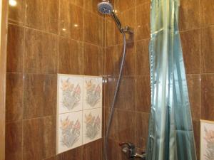 里加AntiK Apart Hotel的带淋浴和浴帘的浴室