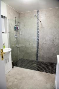 班特里Seafort Luxury Hideaway的带淋浴、水槽和卫生间的浴室
